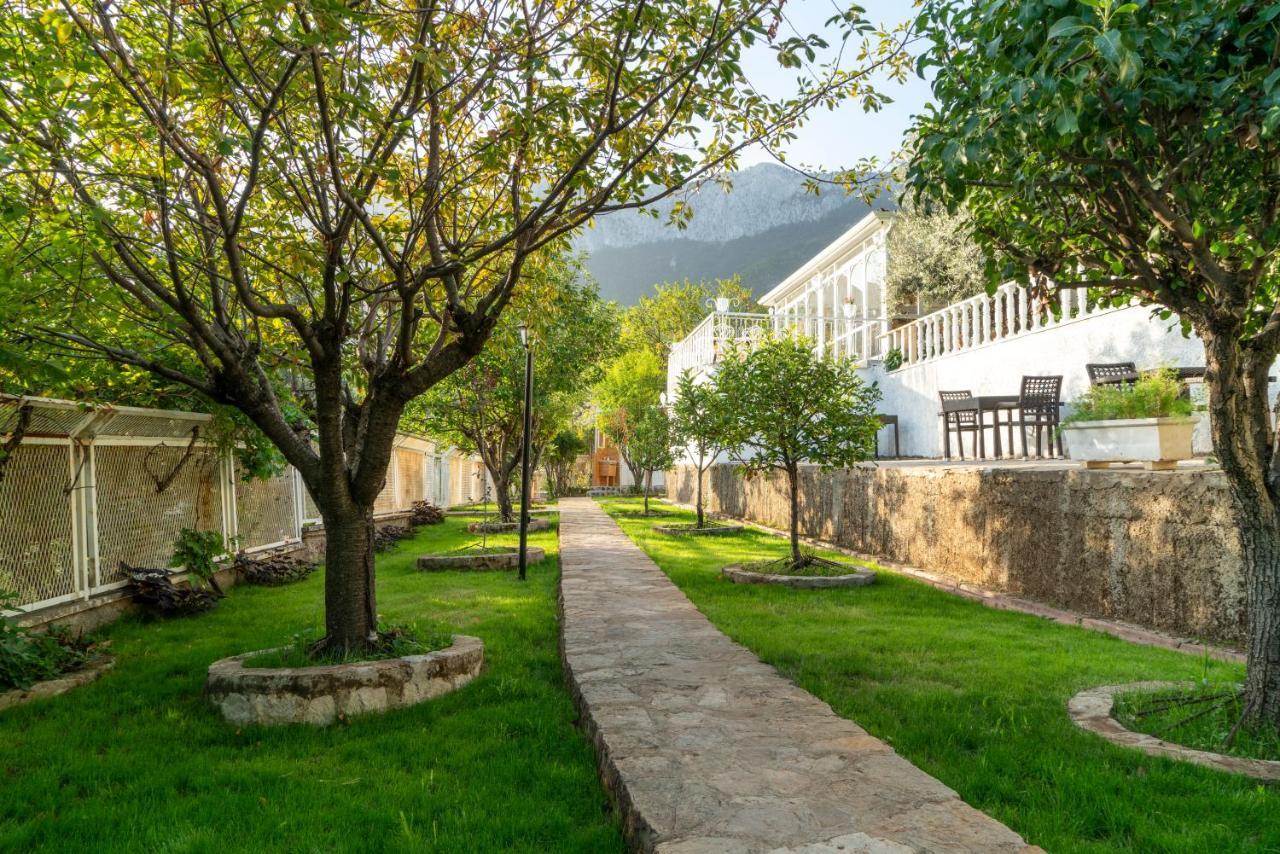 Apa Mountain Lodge Antalya Buitenkant foto
