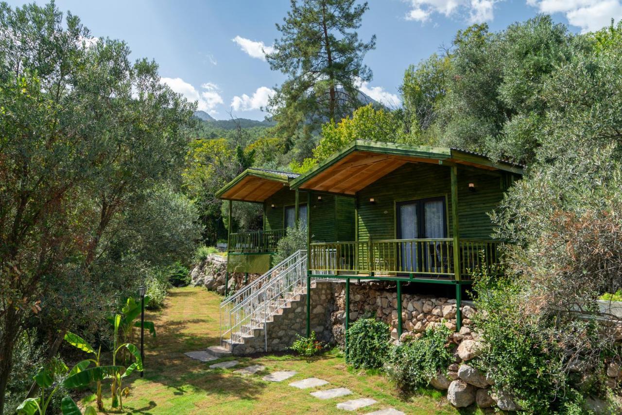 Apa Mountain Lodge Antalya Buitenkant foto