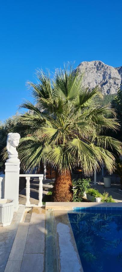 Apa Mountain Lodge Antalya Buitenkant foto